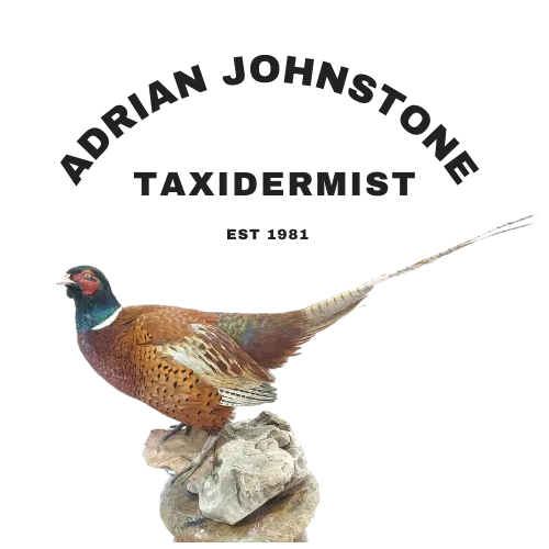 adrian johnstone taxidermist logo