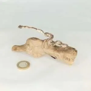 Taxidermy Small Corn Snake. Log no 131.