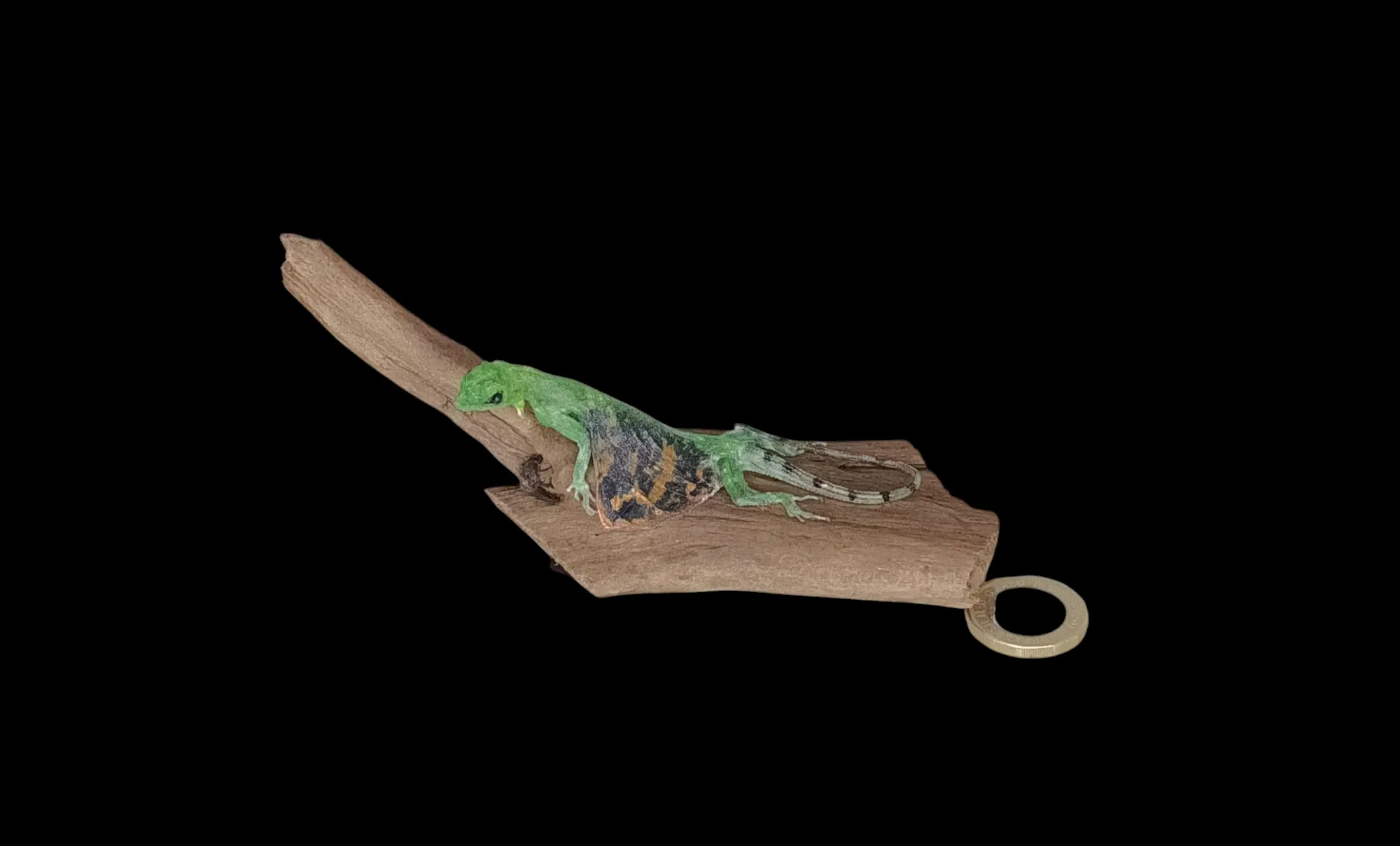 SOLD - Taxidermy Flying Lizard. Log no 87.