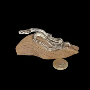 Taxidermy Small Corn Snake. Log no 157.