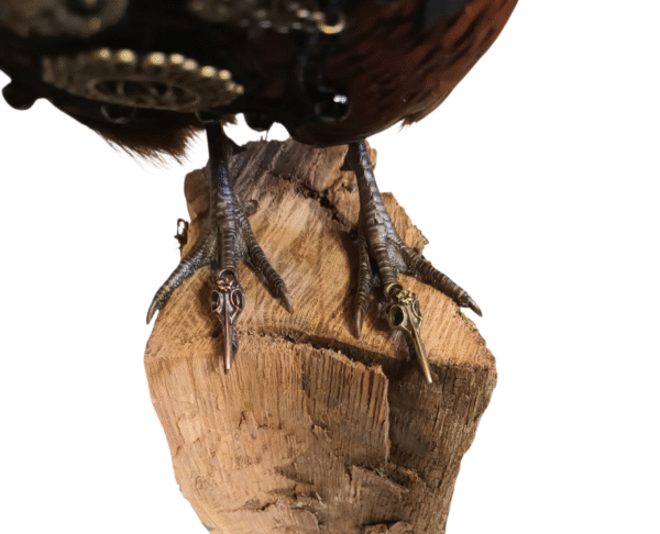Taxidermy Steampunk Pheasant. Log no 425. - Image 2