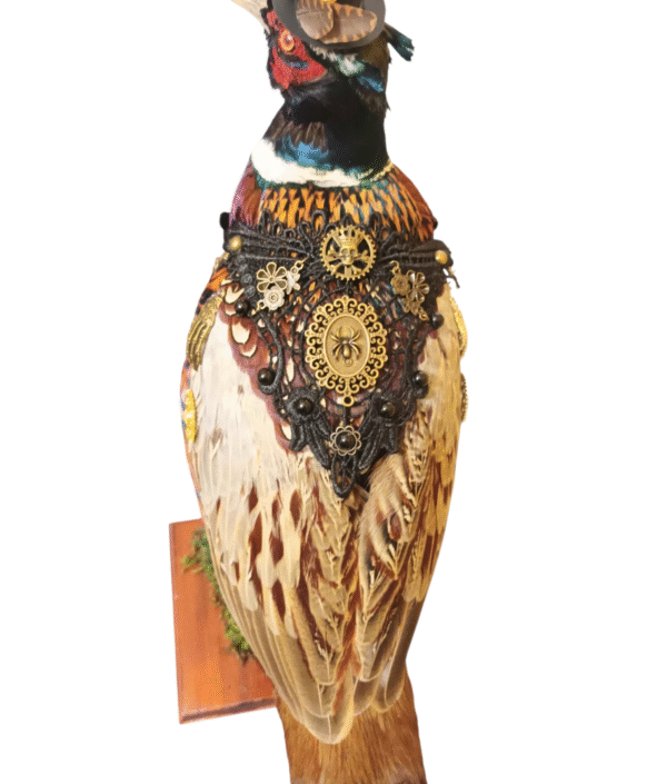 Taxidermy Steampunk Pheasant. Log no 425. - Image 4