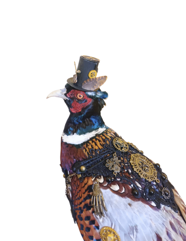 Taxidermy Steampunk Pheasant. Log no 425. - Image 5