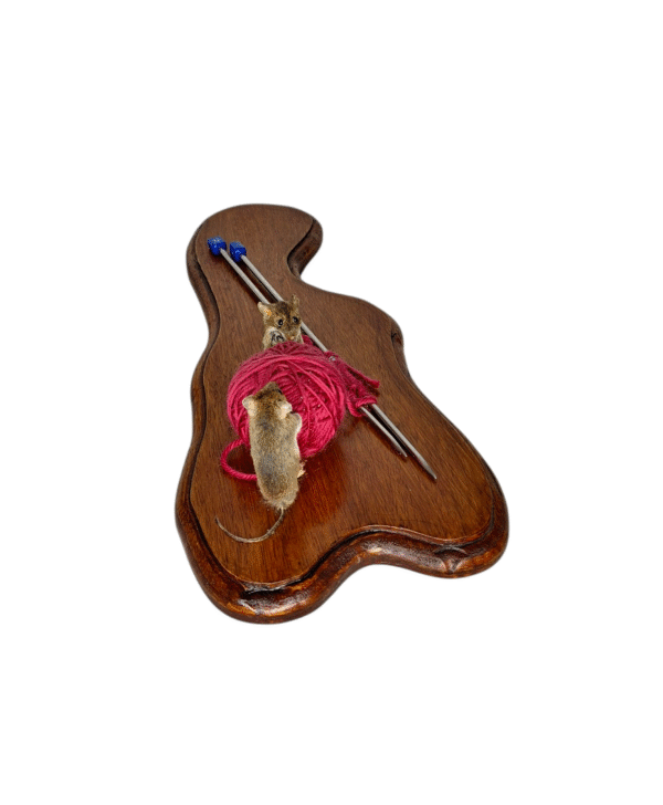 Two Taxidermy Field Mice. Log no 012. - Image 3