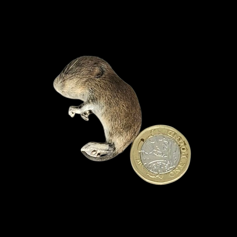 Taxidermy Baby Field Mouse. Log no 124.