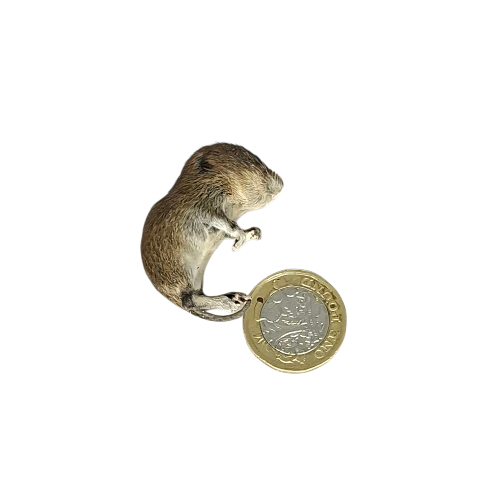 Taxidermy Baby Field Mouse. Log no 124. - Image 2