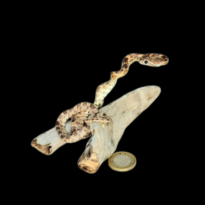 Taxidermy Tiny Corn Snake. Log no 132.